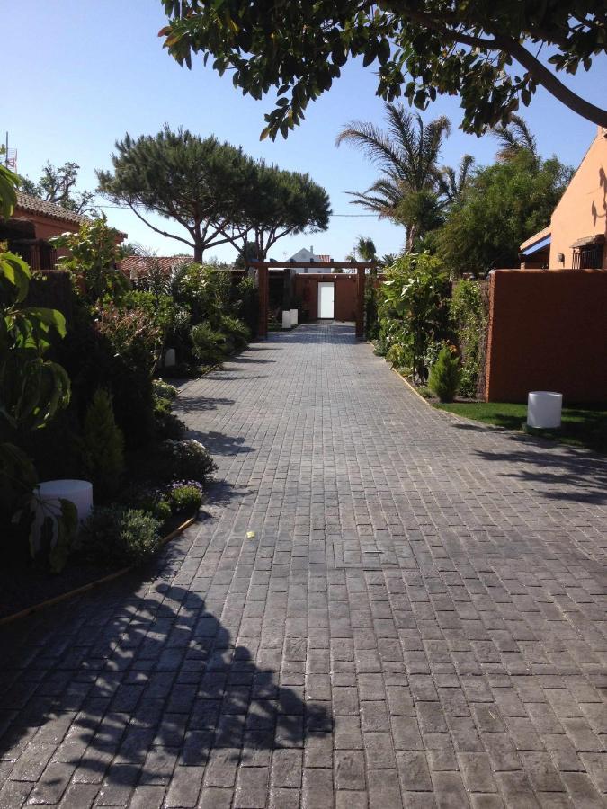 Estudio Para Pareja Con Jardincito Privado Barbaco カディス エクステリア 写真